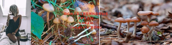 альфа пвп VHQ Горнозаводск